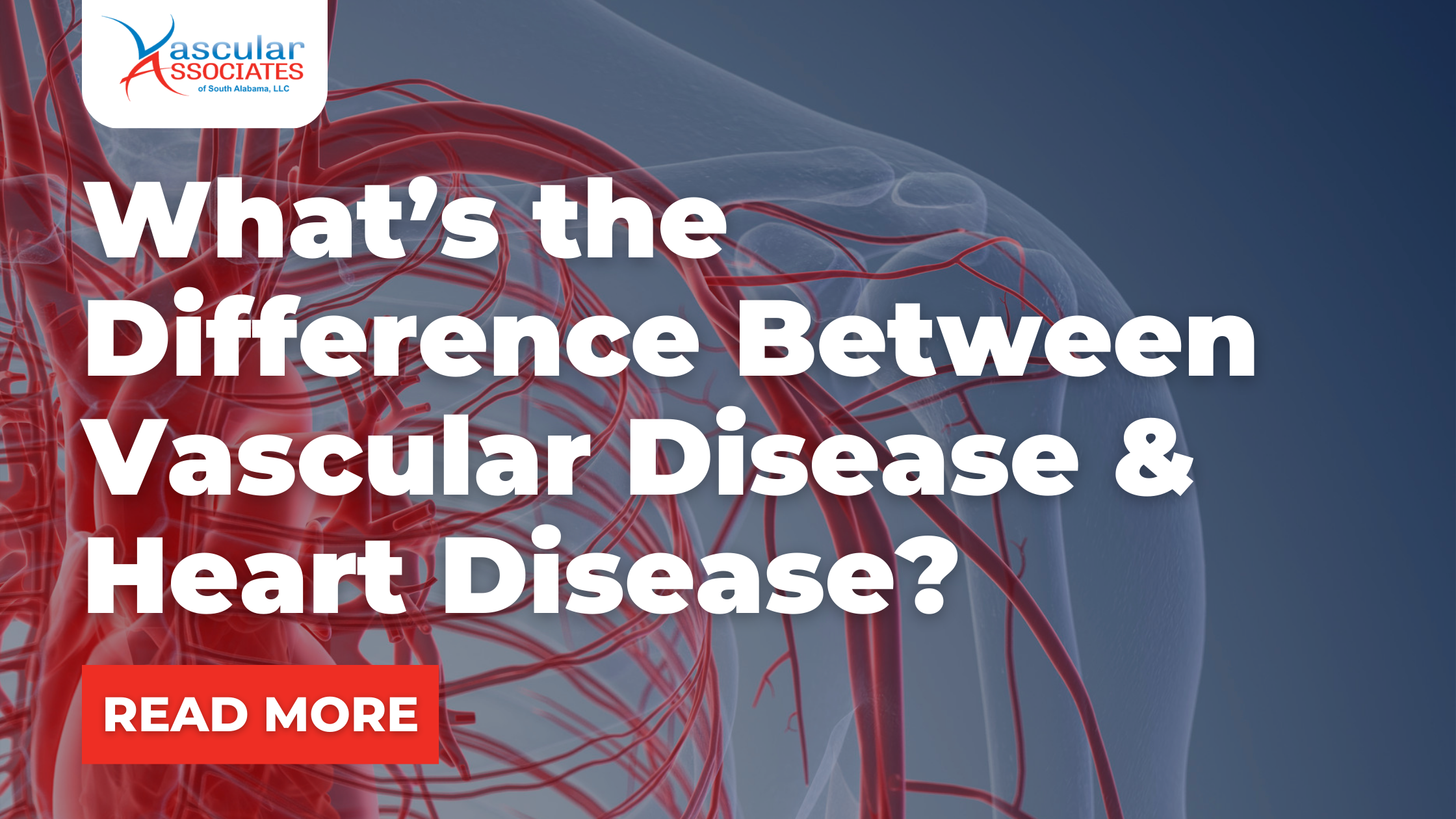 Vascular Blog - What’s the Difference Between Vascular Disease and Heart Disease.png